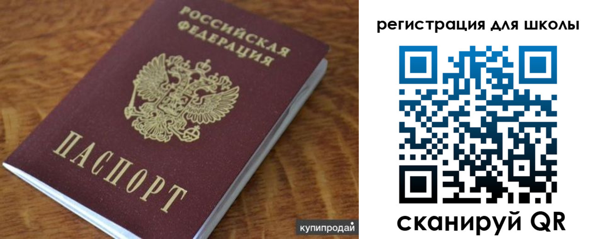 прописка законно в Зеленоградске